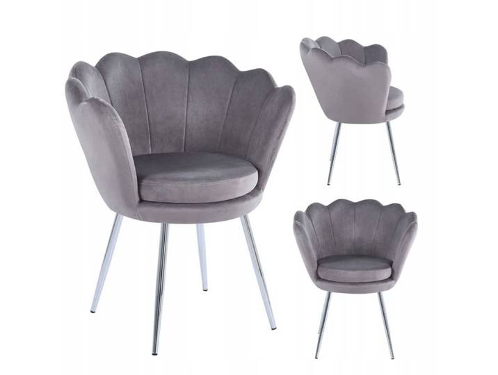 FR1-FX gris-argent