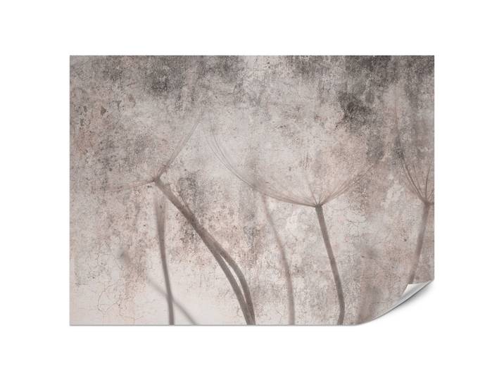 FOTOTAPETE für Schlafzimmer Retro Löwenzahn Beton Beige Minimalistisch 200x140