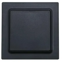 Eltako Funktaster F2T55E-am 30055718