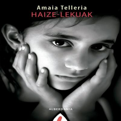 Haize-lekuak - Amaia Telleria, Audio, 9788498687941