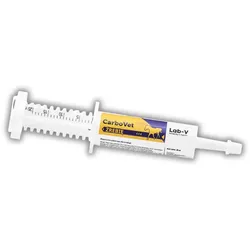 Lab-V CarboVet Fohlen – Ergänzungsfuttermittel zur Anwendung bei Vergiftungen sowie nach Verdauungsstörungen mit Blähungen und übermäßiger Darmfermentation für Fohlen 20 ml