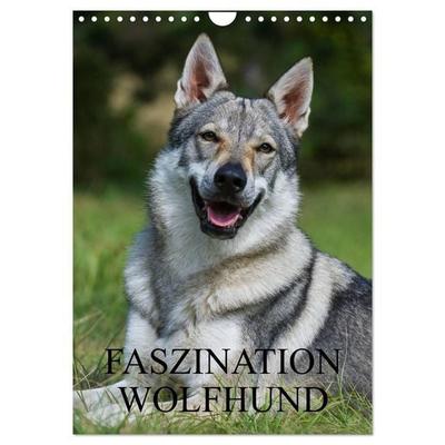 Faszination Wolfhund (Wandkalender 2027 DIN A4 hoch), CALVENDO Monatskalender