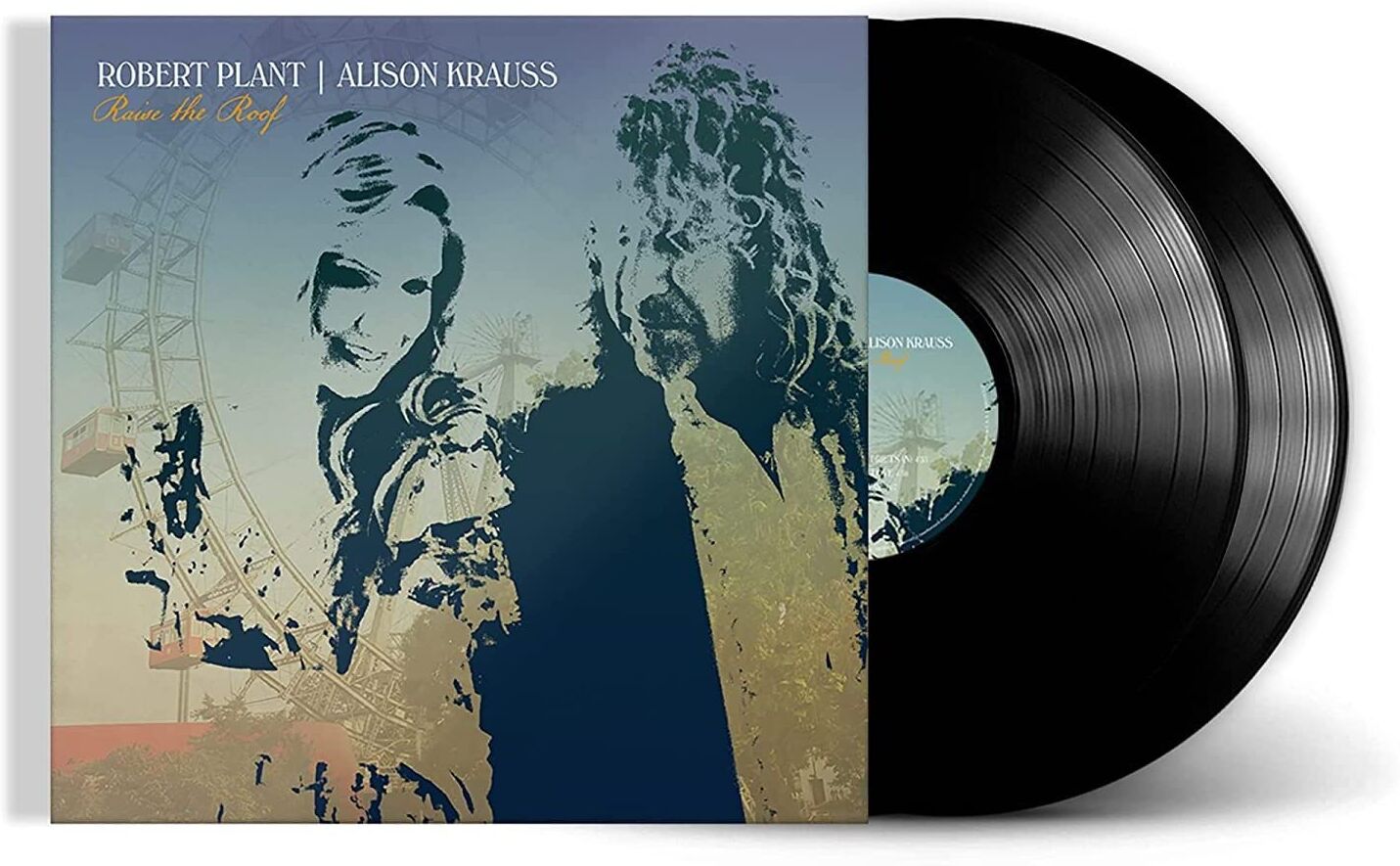 Raise The Roof [Vinyl LP] - Preis vom 09.10.2026 07:28:09 h