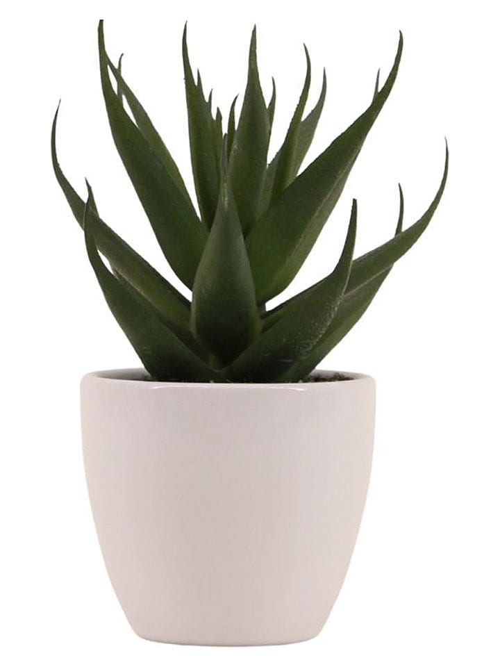 Ornami Kunstpflanze in Grün/ Weiß - (H)15 cm - onesize
