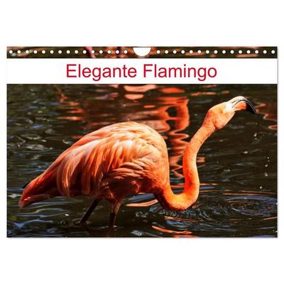 Elegante Flamingo (Wandkalender 2027 DIN A4 quer), CALVENDO Monatskalender