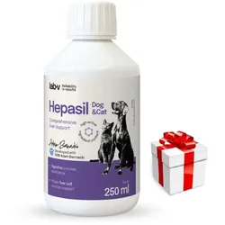 Lab-v Hepasil Dog & Cat – Ergänzungsfuttermittel zur Unterstützung der Leberfunktion bei Hunden und Katzen, 250 ml+ Überraschung für die Katze