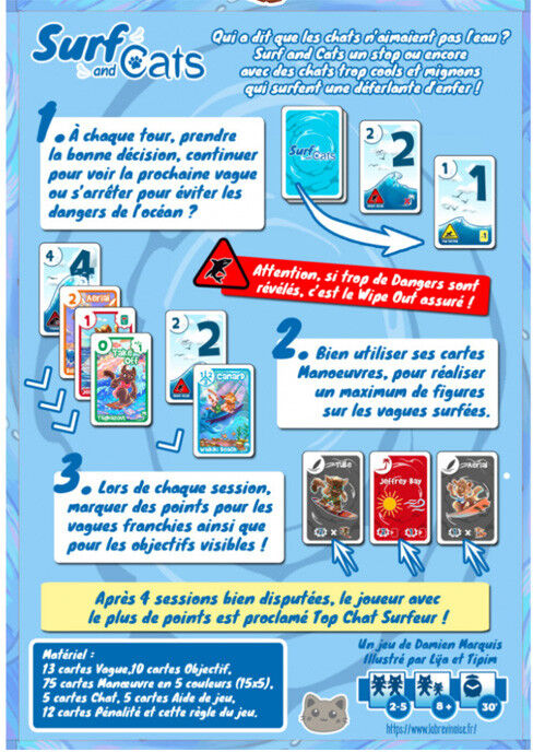 La Brevinoise Jeux Surf and Cats