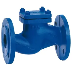 KSB Flanschen-Rückschlagventil BOA-R Geh. GJL-250, PN16 DN 50 in Tüten verp.