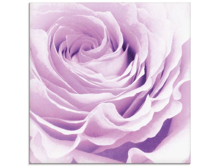Glasbild ARTLAND Pastell Rose , pink (farbe bild(er): pink), B:20cm H:20cm, Bilder, Glasbild, in verschiedenen Grössen