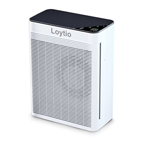 Loytio Luchtzuiveraar met H13 True HEPA-filter voor grote ruimtes, zwart