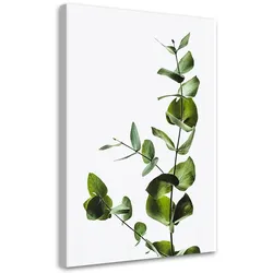 WANDBILD grüner zweig natur