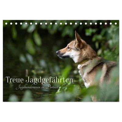 Treue Jagdgefährten - Jagdhunderassen im Portrait (Tischkalender 2027 DIN A5 quer), CALVENDO Monatskalender