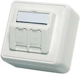 Telegärtner Module d'encastrement en saillie 80x80 2 fois vide aws 100021382 (100021382)