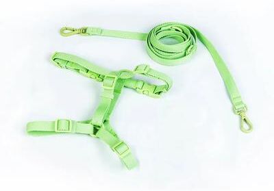 Uplift Treasures Macaron Dual Head Pet Harness And Leash Set green s