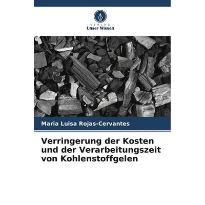 Verringerung der Kosten und der Verarbeitungszeit von Kohlenstoffgelen, Taschenbuch von Maria Luisa Rojas-Cervantes, Verlag Unser Wissen,