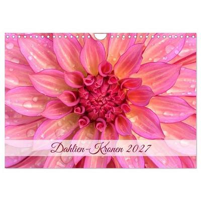 Dahlien-Kronen (Wandkalender 2027 DIN A4 quer), CALVENDO Monatskalender