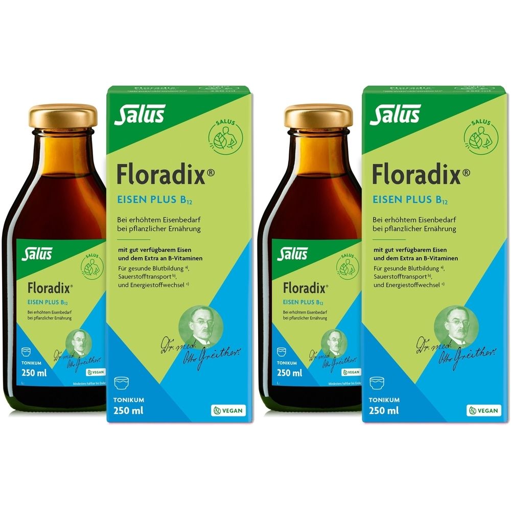Floradix Eisen plus B12 vegan Tonikum 2x 2x250 ml