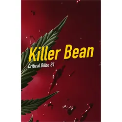Dope Seeds Killer Bean 6 Samen - 6