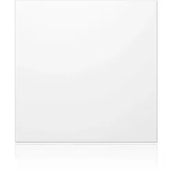 Ritto 1876699 Portier Blindmodul RAL