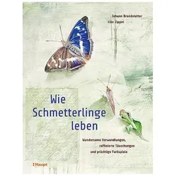 Wie Schmetterlinge leben, Fachbücher von Elke Zippel, Johann Brandstetter