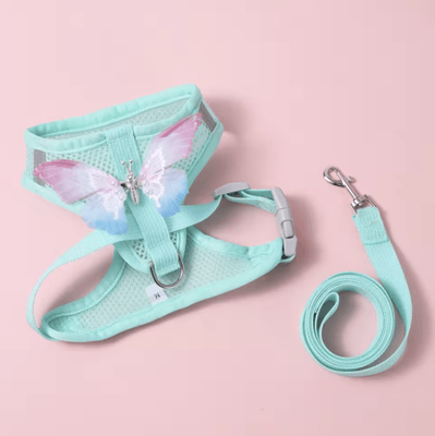Inspire Picks Butterfly Breathable Cat & Small Dog Harness Set With Leash blue m