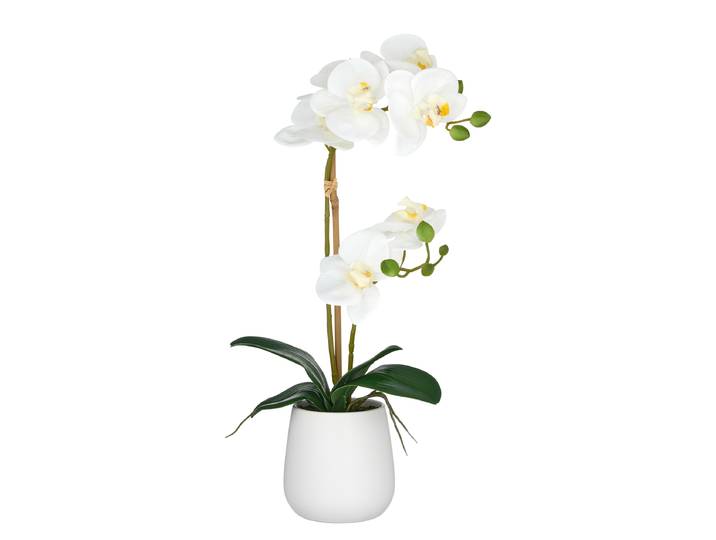 Phalaenopsis artificiel type D 20 x 50 x 15cm Blanc