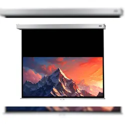 celexon Leinwand Rollo Professional Plus 160 x 100 cm - 74`