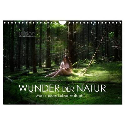 WUNDER DER NATUR - wenn neues Leben entsteht (Wandkalender 2027 DIN A4 quer), CALVENDO Monatskalender