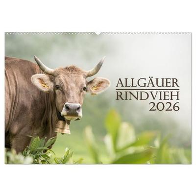 Allgäuer Rindvieh 2026 (Wandkalender 2026 DIN A2 quer), CALVENDO Monatskalender