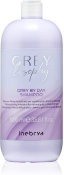Inebrya Greylosophy Grey By Day Shampoo champô com cor para cabelo cinzento 1000 ml. Greylosophy Grey By Day Shampoo