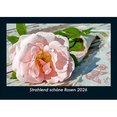 Strahlend schöne Rosen 2026 Fotokalender DIN A5