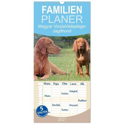 Familienplaner 2027 - Magyar Vizsla - Vielseitiger Jagdhund mit 5 Spalten (Wandkalender, 21 x 45 cm) CALVENDO