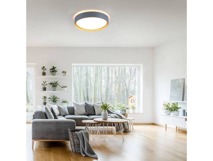 Plafonnier Emilia Ø 40cm Gris/Gris Matériau : Matière plastique Type de matière synthétique : Polycarbonate LED Module LED