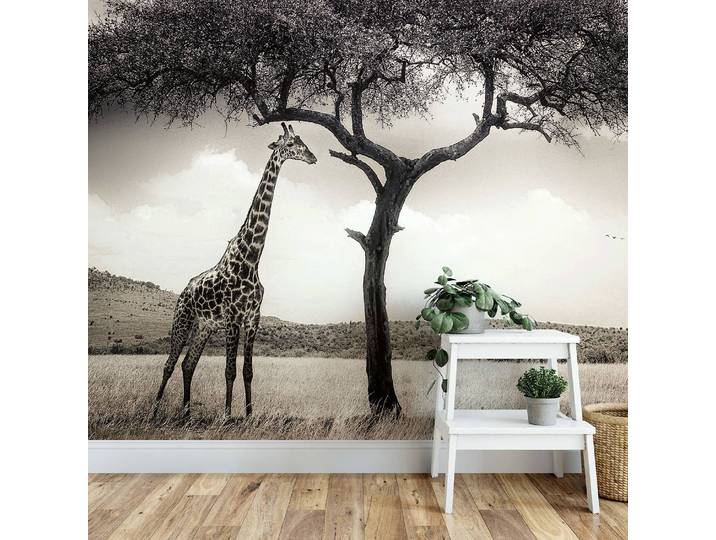 Papier peint Girafe Safari 3cm