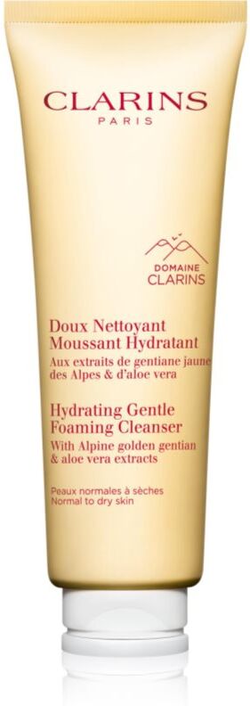 Clarins Cleansing Hydrating Gentle Foaming Cleanser Reinigungsschaum mit feuchtigkeitsspendender Wirkung 125 ml