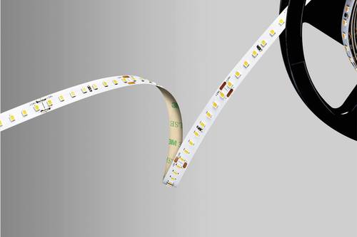 Barthelme 51542233 LED-Streifen 24V 5000mm Weiß 5m