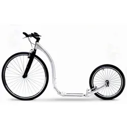 Kickbike Sport Max - grau