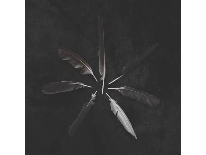 Dust And Disquiet