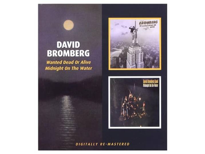 David Bromberg - Wanted Dead Or..