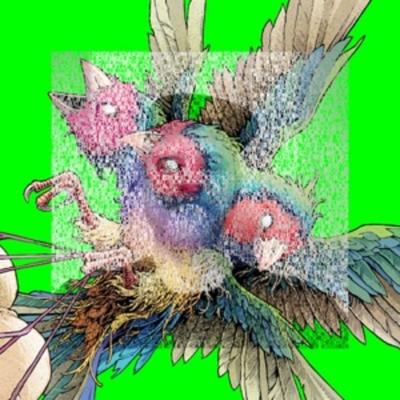 Hatch - Gouldian Finch, CD