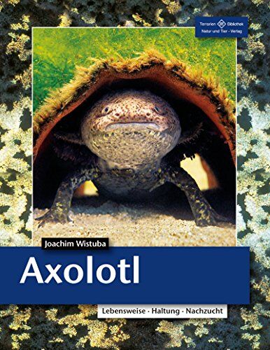 Joachim Wistuba - Axolotl: Lebensweise, Haltung, Nachzucht (Terrarien-Bibliothek) - Preis vom 30.09.2026 09:01:18 h