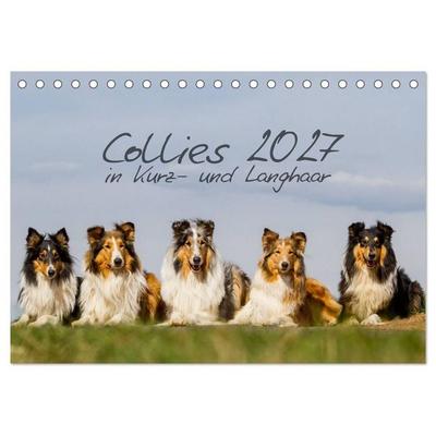 Collies 2027 in Kurz- und Langhaar (Tischkalender 2027 DIN A5 quer), CALVENDO Monatskalender