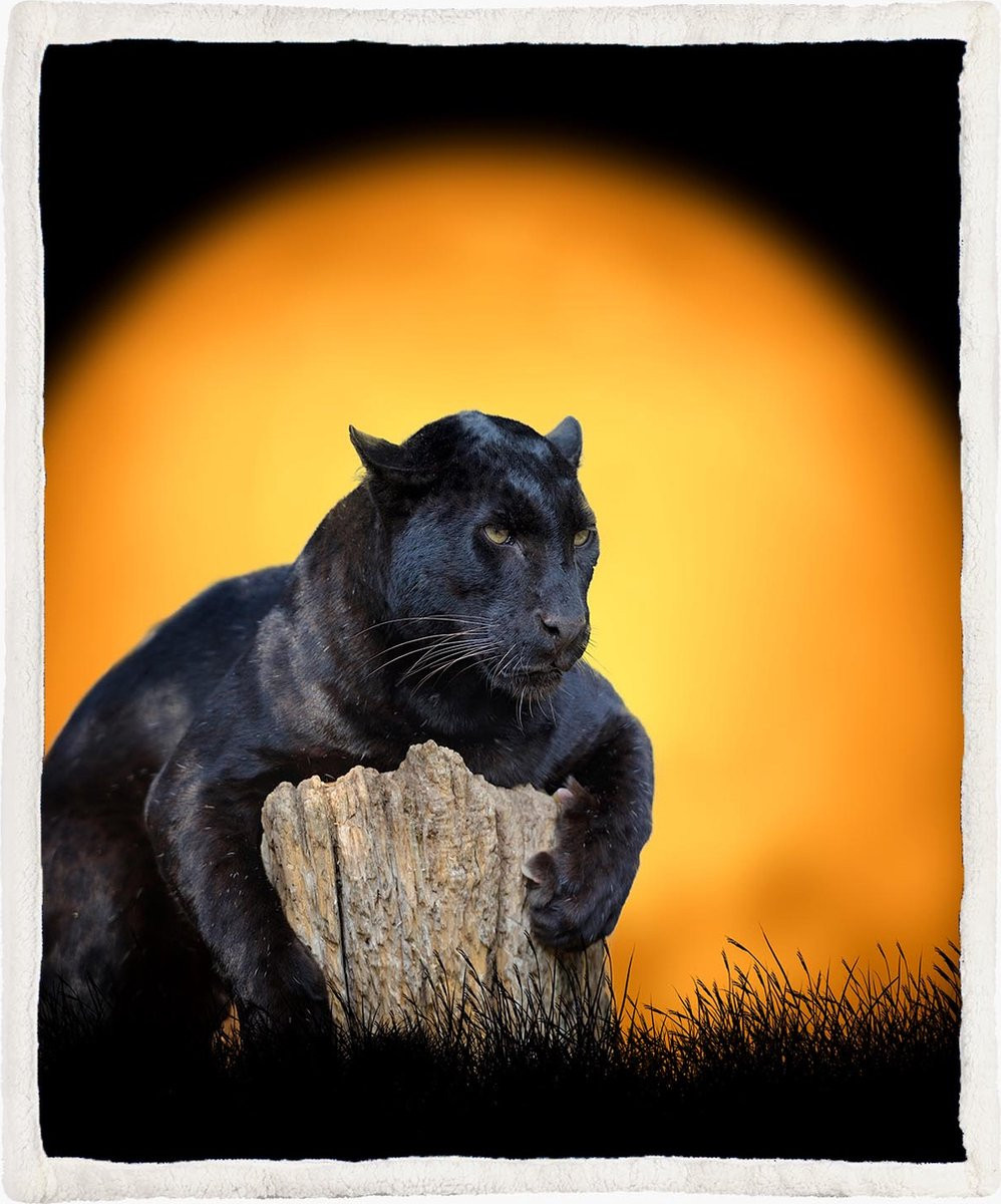 The Coloured House Jaguar Fleece Deken - Zwart - 150 x 200 cm