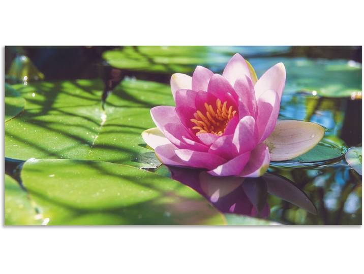 Alu-Dibond-Druck ARTLAND Seerose Nahaufnahme , grün (farbe bild(er): grün), B:100cm H:50cm, Bilder, Alu-Dibond-Druck, für Innen- und Aussenbereich geeignet, Outdoorbild