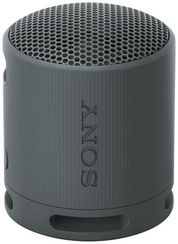 Sony SRSXB100B.CE7 Bluetooth Lautsprecher Freisprechfunktion, spritzwassergeschützt Schwarz