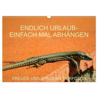 Freude und Spaß an Tierfotos (Wandkalender 2027 DIN A3 quer), CALVENDO Monatskalender