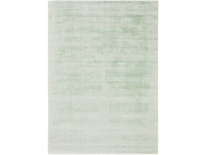 Tapis en viscose menthe 120x170