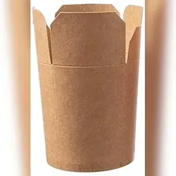 DeinPack Asia Box Take Away Box to Go Box 500 Asia Nudelbox Pappe braun 710ml