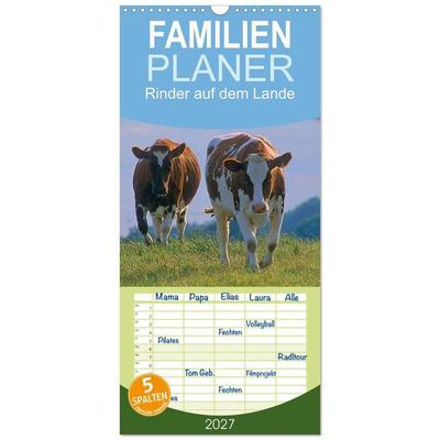 Familienplaner 2027 - Rinder auf dem Lande mit 5 Spalten (Wandkalender, 21 x 45 cm) CALVENDO