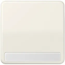 Jung Wippe Schriftfeld ws CD 590 NA